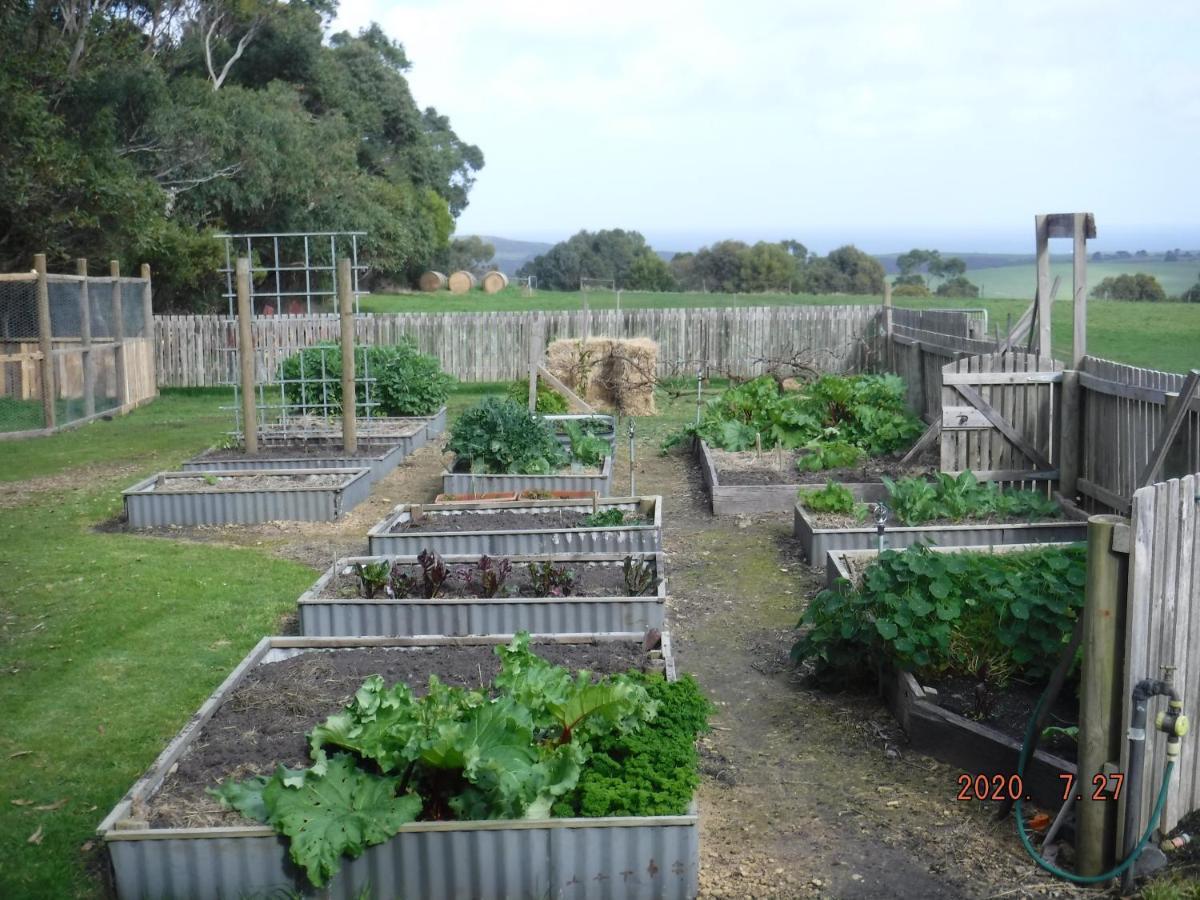 Arabella Country House Bed & Breakfast Princetown Bagian luar foto